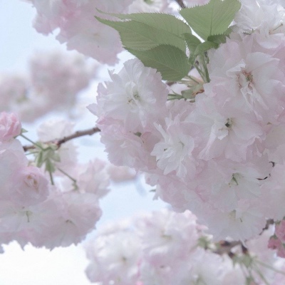 池州福瑞交流群